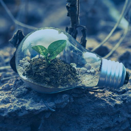 Green economy: la strada verso uno sviluppo sostenibile tra vantaggi, sfide e opportunità globali